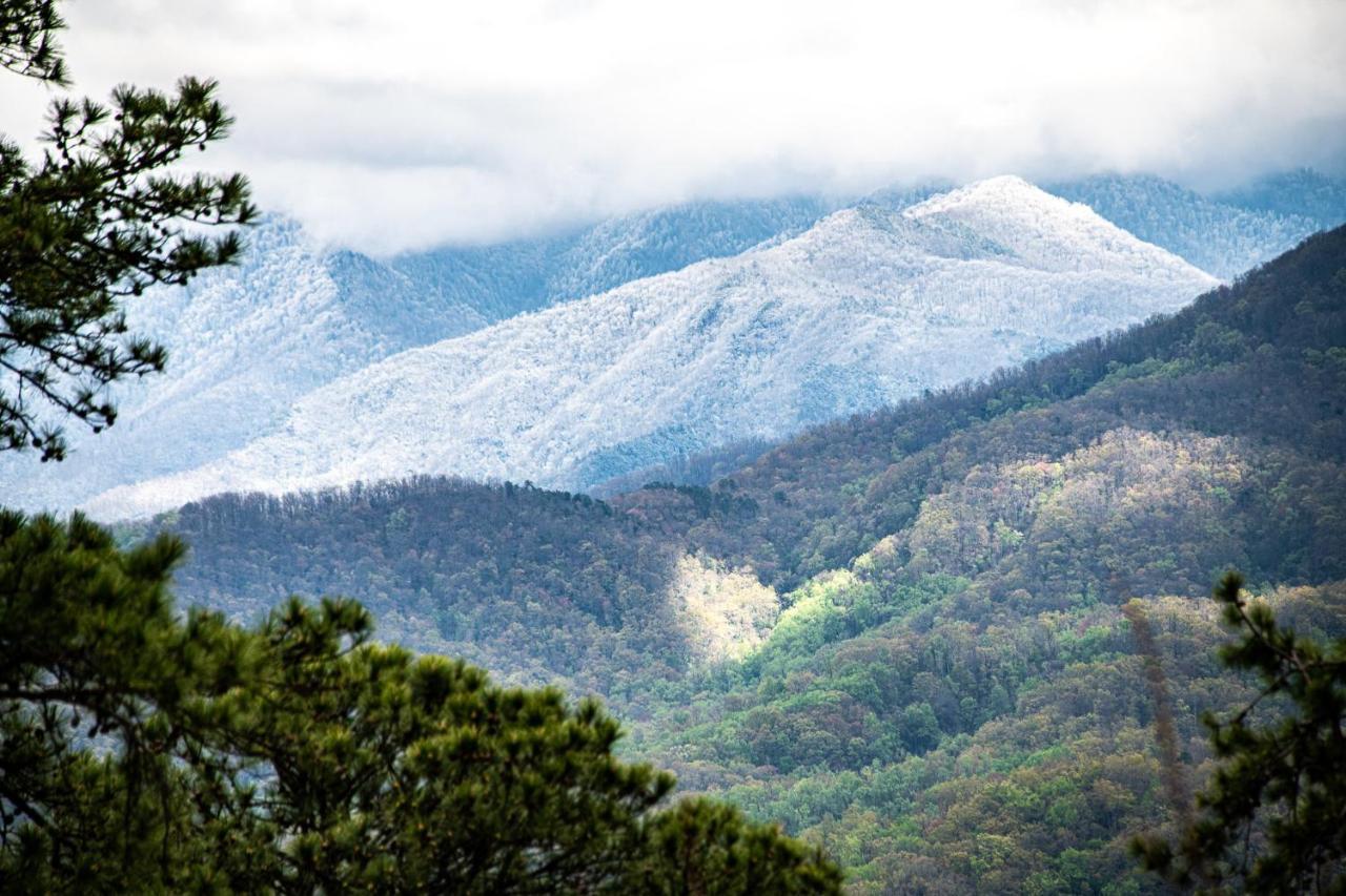 Majestic Leconte Villa Gatlinburg Dış mekan fotoğraf